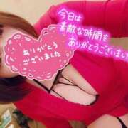 ヒメ日記 2024/12/29 01:01 投稿 ひなの 和楽(わらく)