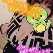 ヒメ日記 2025/01/04 18:15 投稿 ひなの 和楽(わらく)