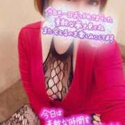 ヒメ日記 2025/01/19 01:23 投稿 ひなの 和楽(わらく)