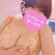 ヒメ日記 2025/02/24 13:08 投稿 ひなの 和楽(わらく)