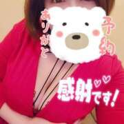 ヒメ日記 2025/02/27 02:32 投稿 ひなの 和楽(わらく)