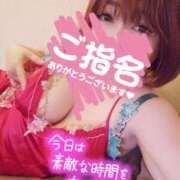 ヒメ日記 2025/02/28 17:30 投稿 ひなの 和楽(わらく)