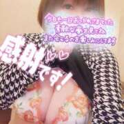 ヒメ日記 2025/03/01 00:26 投稿 ひなの 和楽(わらく)