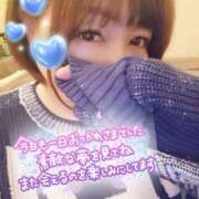 ヒメ日記 2025/03/03 05:53 投稿 ひなの 和楽(わらく)