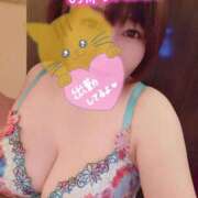 ヒメ日記 2025/03/08 16:47 投稿 ひなの 和楽(わらく)