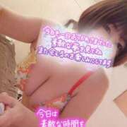 ヒメ日記 2025/03/09 01:09 投稿 ひなの 和楽(わらく)