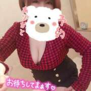 ヒメ日記 2025/03/19 14:12 投稿 ひなの 和楽(わらく)