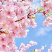 ヒメ日記 2025/03/23 11:03 投稿 ひなの 和楽(わらく)