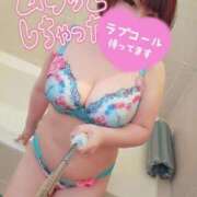 ヒメ日記 2025/04/09 13:57 投稿 ひなの 和楽(わらく)