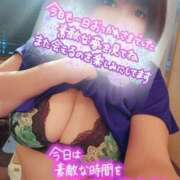 ヒメ日記 2025/04/13 00:52 投稿 ひなの 和楽(わらく)