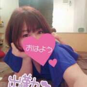 ヒメ日記 2025/04/15 11:23 投稿 ひなの 和楽(わらく)