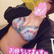 ヒメ日記 2025/04/16 20:59 投稿 ひなの 和楽(わらく)