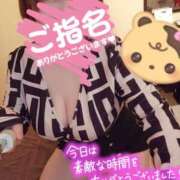 ヒメ日記 2025/04/23 18:25 投稿 ひなの 和楽(わらく)