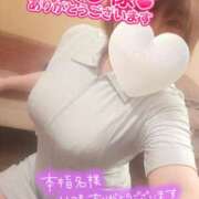 ヒメ日記 2025/04/28 03:14 投稿 ひなの 和楽(わらく)