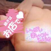 ヒメ日記 2025/05/14 12:22 投稿 ひなの 和楽(わらく)