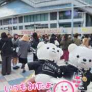 ヒメ日記 2025/05/20 12:34 投稿 ひなの 和楽(わらく)