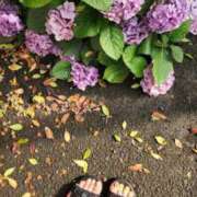 ヒメ日記 2025/06/23 16:42 投稿 ひなの 和楽(わらく)