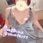 ヒメ日記 2025/06/24 14:23 投稿 ひなの 和楽(わらく)