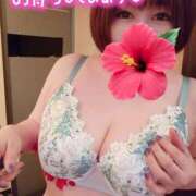 ヒメ日記 2025/06/27 15:04 投稿 ひなの 和楽(わらく)