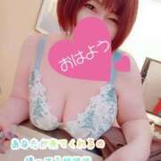 ヒメ日記 2025/06/28 09:15 投稿 ひなの 和楽(わらく)