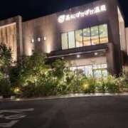 ヒメ日記 2025/07/08 12:12 投稿 ひなの 和楽(わらく)