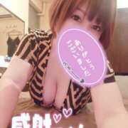 ヒメ日記 2025/08/10 00:12 投稿 ひなの 和楽(わらく)