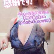 ヒメ日記 2025/09/15 01:01 投稿 ひなの 和楽(わらく)