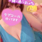 ヒメ日記 2025/10/04 15:06 投稿 ひなの 和楽(わらく)