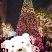 ヒメ日記 2025/12/22 10:44 投稿 ひなの 和楽(わらく)