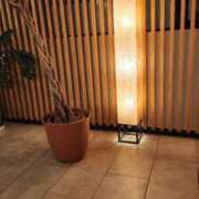 ヒメ日記 2026/01/13 21:10 投稿 ひなの 和楽(わらく)