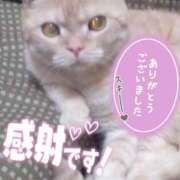 ヒメ日記 2026/02/16 01:28 投稿 ひなの 和楽(わらく)