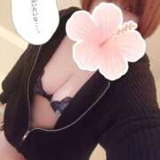 ヒメ日記 2026/02/25 14:04 投稿 ひなの 和楽(わらく)