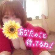 ヒメ日記 2026/04/01 14:39 投稿 ひなの 和楽(わらく)