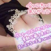 ひなの ありがとう♡ 和楽(わらく)