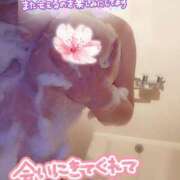 ヒメ日記 2026/06/08 01:13 投稿 ひなの 和楽(わらく)
