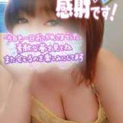 ヒメ日記 2026/09/27 01:12 投稿 ひなの 和楽(わらく)