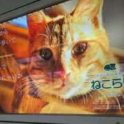 ヒメ日記 2025/01/12 12:47 投稿 丸田 みお こあくまな熟女たち三河店（KOAKUMAグループ）