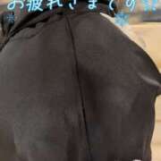 ヒメ日記 2025/02/12 19:45 投稿 丸田 みお こあくまな熟女たち三河店（KOAKUMAグループ）