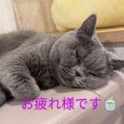 ヒメ日記 2025/03/20 16:44 投稿 丸田 みお こあくまな熟女たち三河店（KOAKUMAグループ）