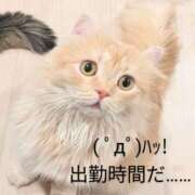 ヒメ日記 2025/04/04 14:04 投稿 丸田 みお こあくまな熟女たち三河店（KOAKUMAグループ）