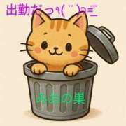 ヒメ日記 2025/06/27 09:44 投稿 丸田 みお こあくまな熟女たち三河店（KOAKUMAグループ）