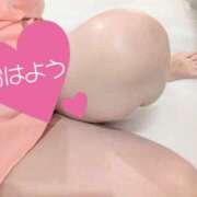 ヒメ日記 2025/09/07 09:05 投稿 丸田 みお こあくまな熟女たち三河店（KOAKUMAグループ）