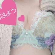 ヒメ日記 2025/11/08 08:46 投稿 丸田 みお こあくまな熟女たち三河店（KOAKUMAグループ）