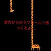 ヒメ日記 2025/11/16 09:18 投稿 丸田 みお こあくまな熟女たち三河店（KOAKUMAグループ）