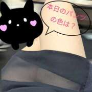 ヒメ日記 2026/03/18 09:51 投稿 丸田 みお こあくまな熟女たち三河店（KOAKUMAグループ）