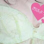 ヒメ日記 2026/03/22 09:39 投稿 丸田 みお こあくまな熟女たち三河店（KOAKUMAグループ）