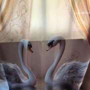 ヒメ日記 2025/06/15 12:21 投稿 恵(めぐみ) エッチな熟女(広島)