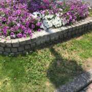 ヒメ日記 2025/07/16 17:30 投稿 恵(めぐみ) エッチな熟女(広島)