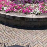 ヒメ日記 2025/08/10 14:30 投稿 恵(めぐみ) エッチな熟女(広島)