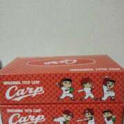 ヒメ日記 2025/09/11 21:20 投稿 恵(めぐみ) エッチな熟女(広島)